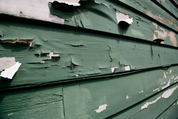 Affordable siding repair and maintenance services in Colfax, IL